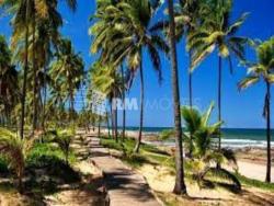 #RMA1559 - Apartamento para Venda em Salvador - BA - 3