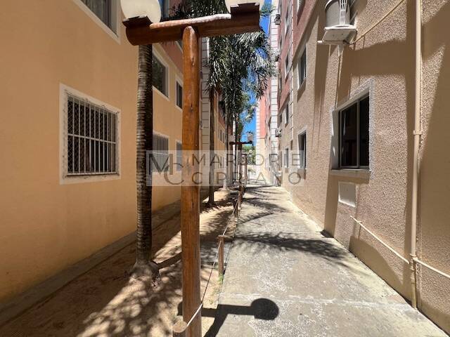 Apartamento, 2 quartos - Foto 12
